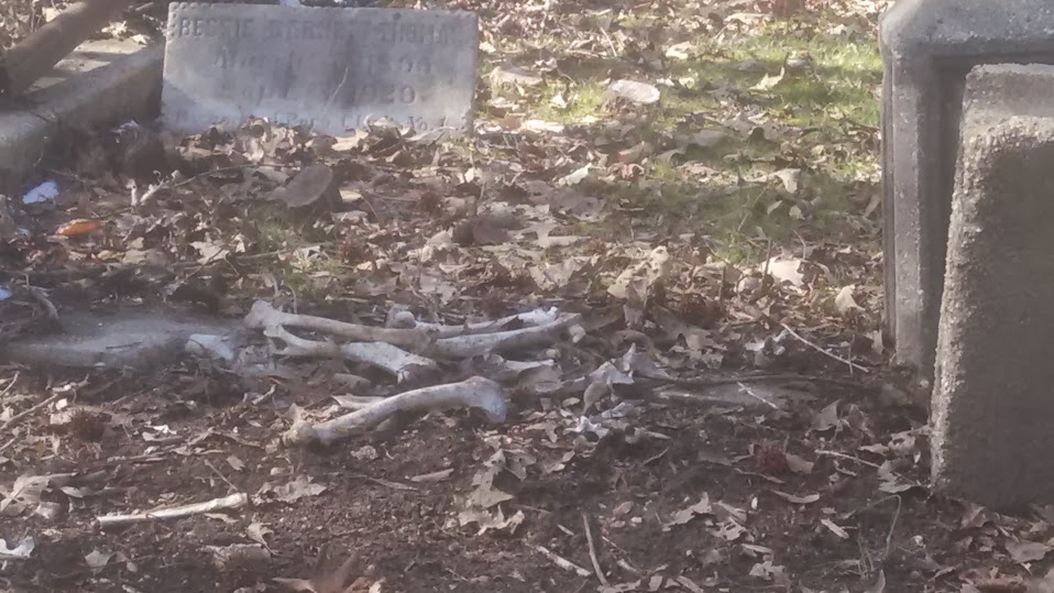 Evergreen Cemetary Human Remains